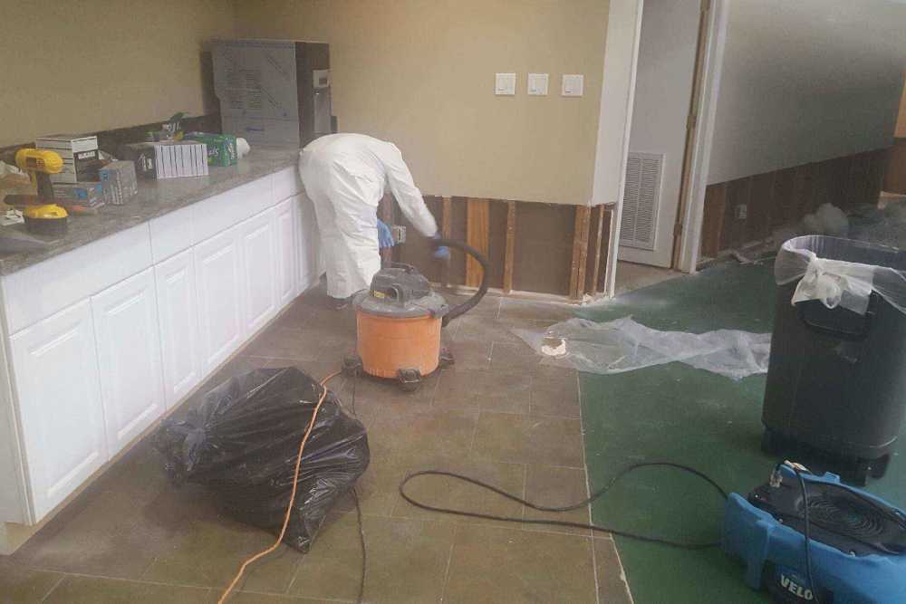 Gallery image 12 — residential mold remediation near me