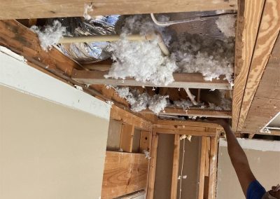 Gallery image 4 — residential mold remediation near me