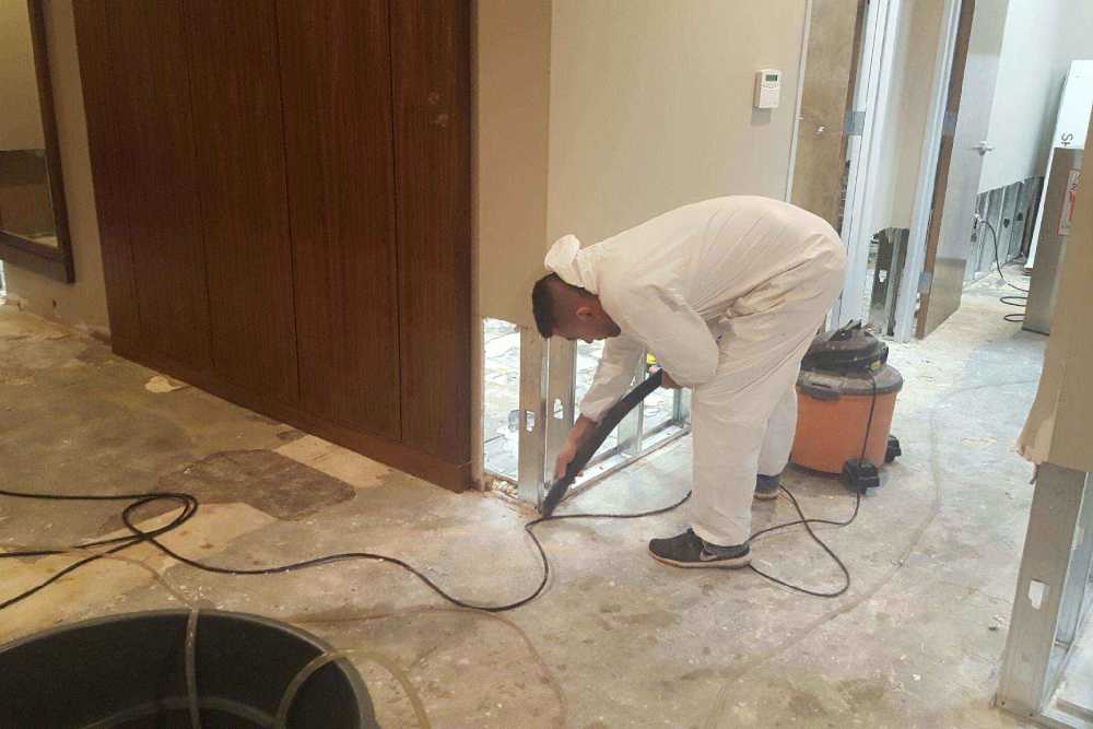 Gallery image 10 — residential mold remediation near me