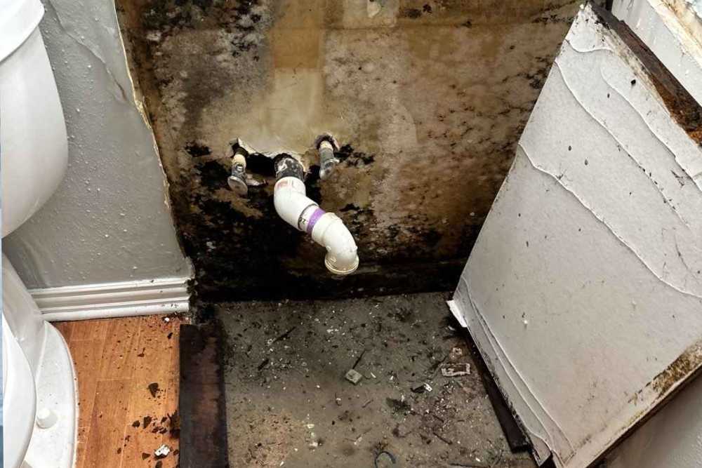 Gallery image 1 — residential mold remediation near me