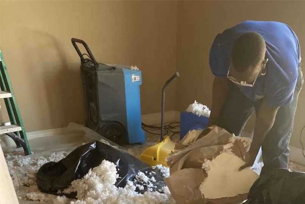 Gallery image 6 — residential mold remediation near me