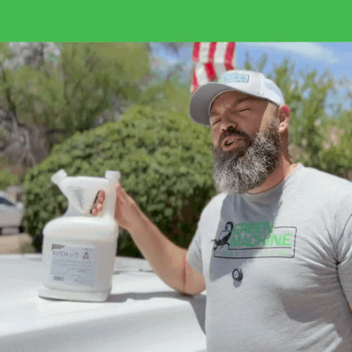 Gallery image 2 — local pest control company in Litchfield Park