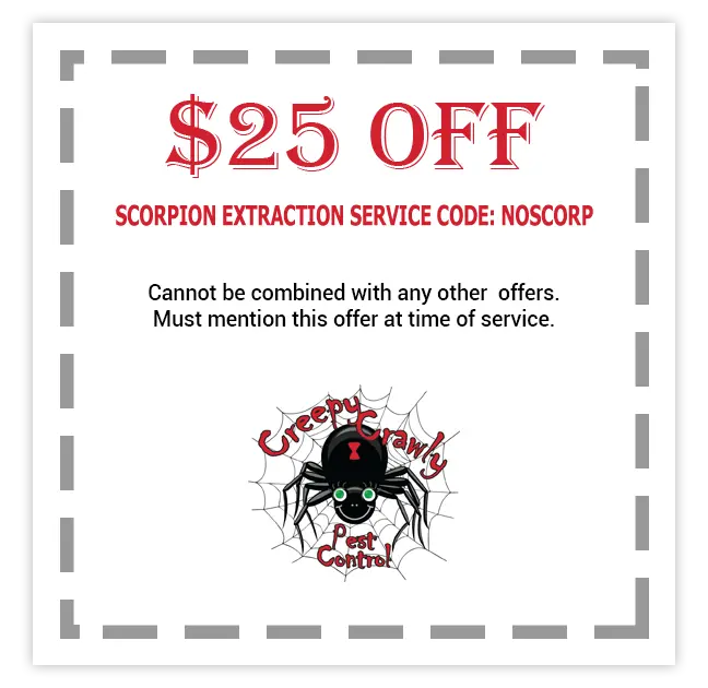 Gallery image 17 — best pest control in Chandler