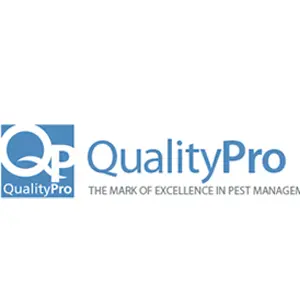 Gallery image 10 — best pest control in Chandler