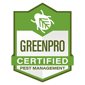 About best pest control in Chandler