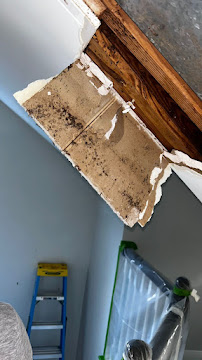 Gallery image 2 — commercial mold remediation Cypress, TX