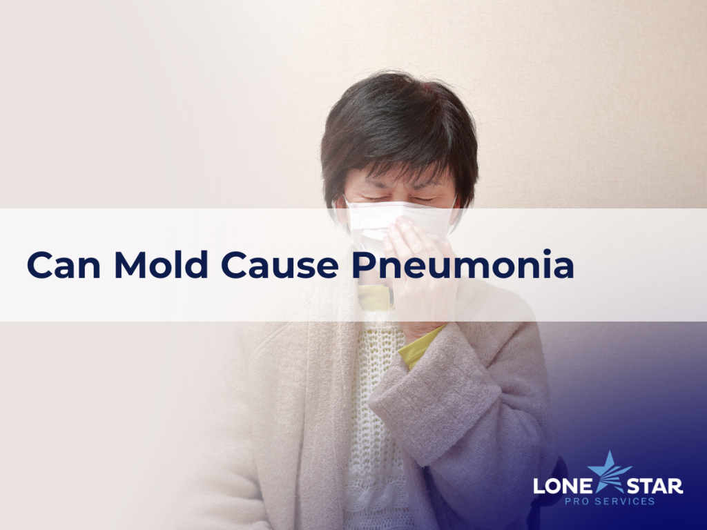 commercial mold remediation Cypress, TX