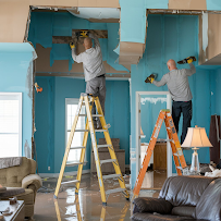 About mold removal Houston
