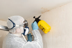 mold remediation Houston