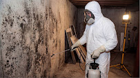 Gallery image 2 — mold remediation Houston