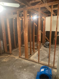 mold removal Houston