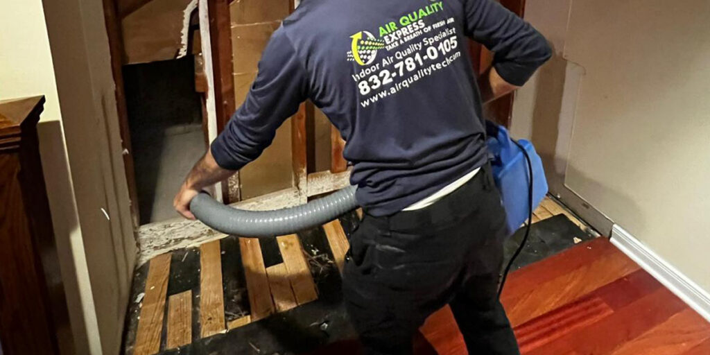 mold removal and cleanup Tomball