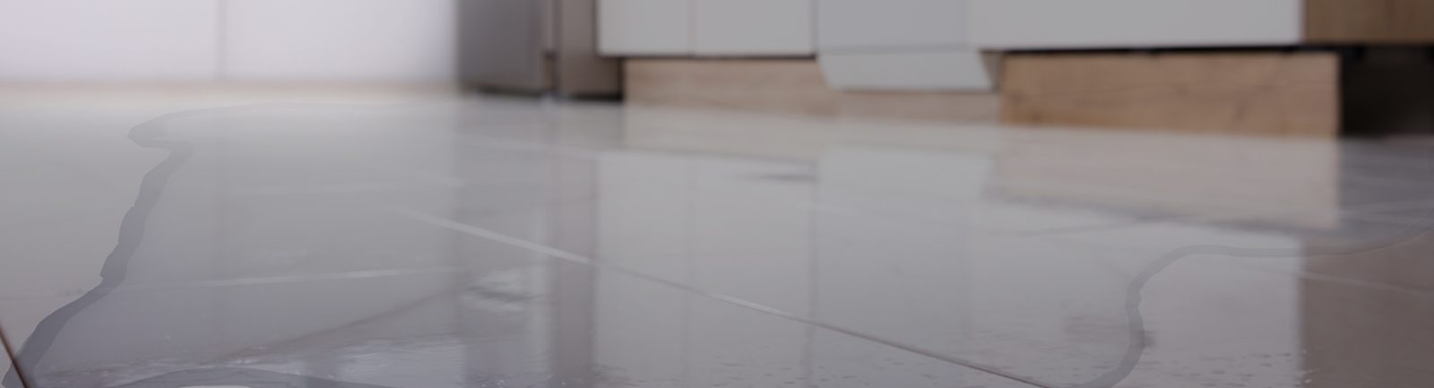 Gallery image 8 — emergency mold removal near me