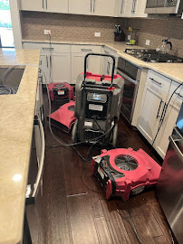 About emergency mold removal near me