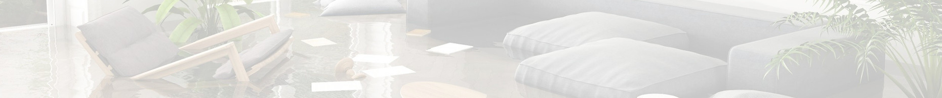 fast water mitigation response Houston