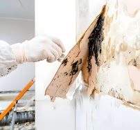 Gallery image 3 — sewage cleanup Houston