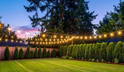 Gallery image 4 — holiday lighting installation in Chicago