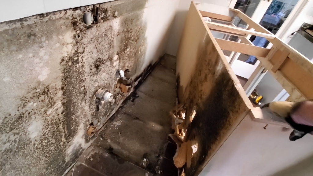 Gallery image 2 — 24/7 water damage cleanup Taylor Pro Water Damage
