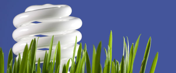 Gallery image 5 — new construction electrical wiring Orlando