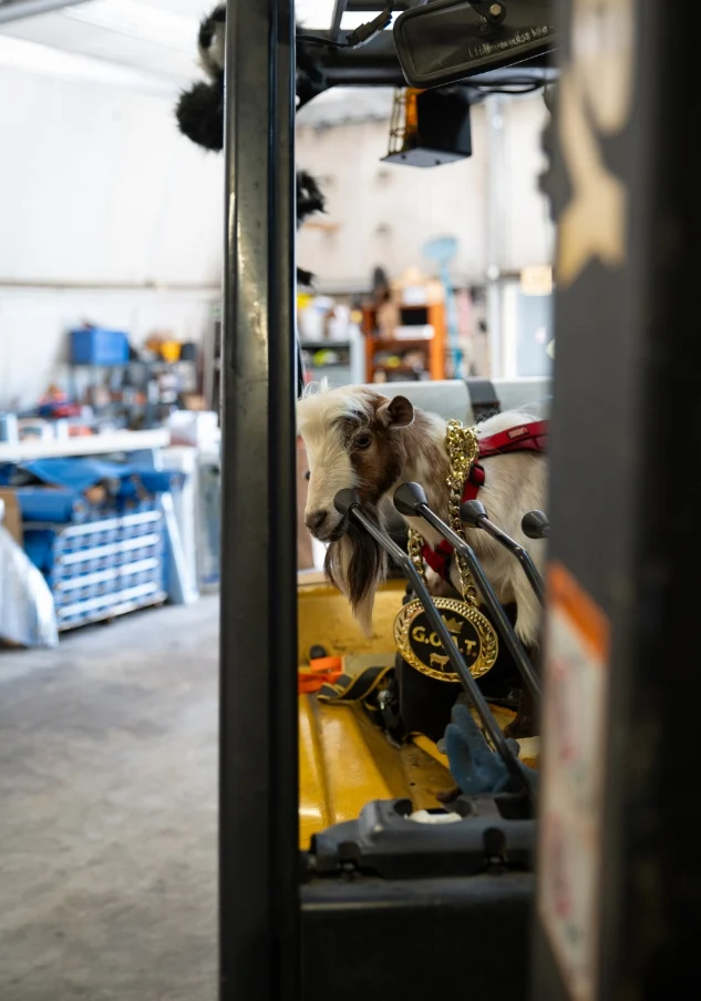 Gallery image 2 — roof replacement in The Villages