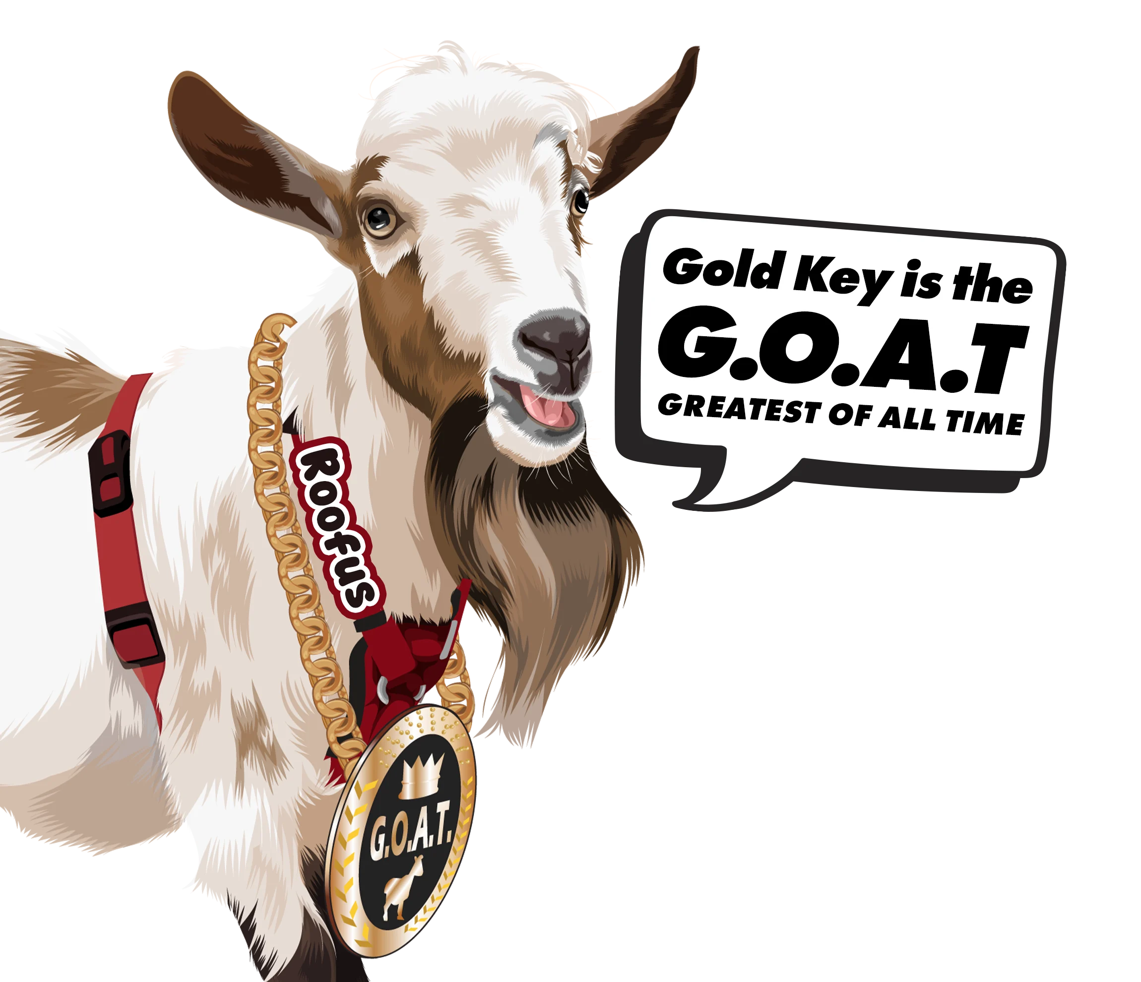 Gallery image 8 — roof replacement in The Villages