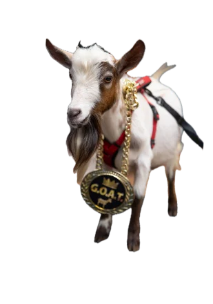 Gallery image 6 — roof replacement in The Villages