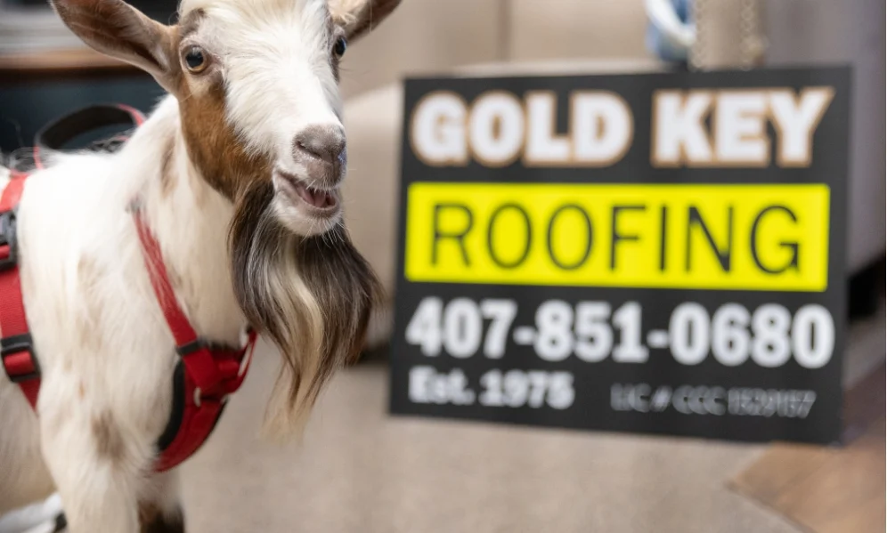 best roofing company in Central Florida