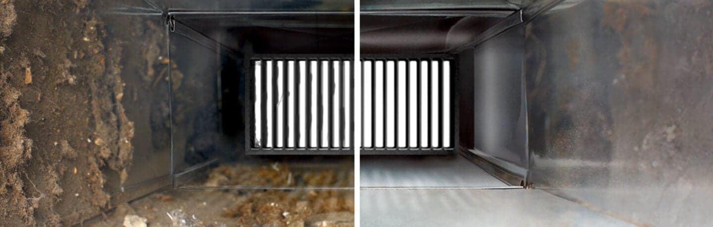 Gallery image 6 — professional rug cleaning Dallas
