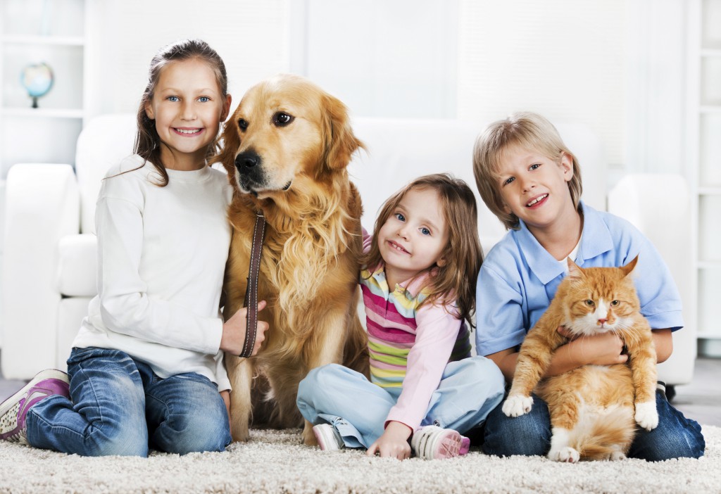 professional carpet cleaners near me