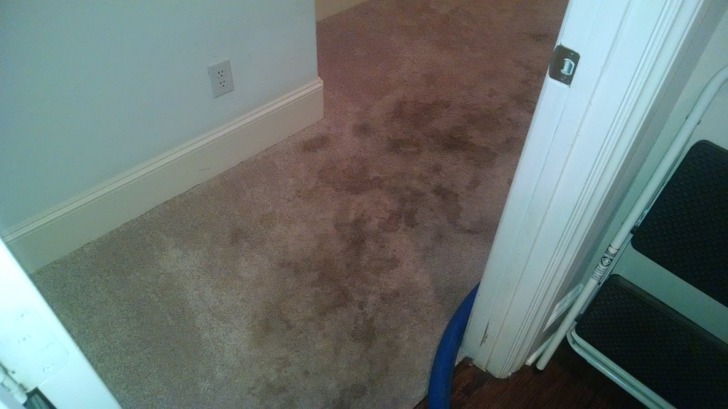 Gallery image 2 — water damage restoration Dallas