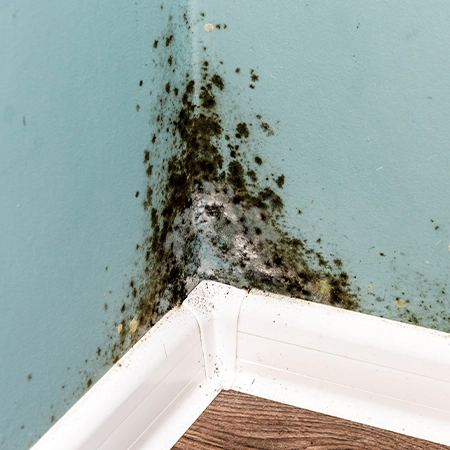 Gallery image 4 — emergency board up services San Antonio