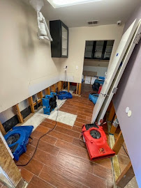 best mold removal company in San Antonio