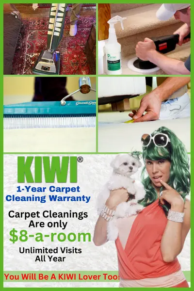 Gallery image 4 — carpet repair Dallas