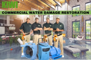 Gallery image 9 — commercial cleaning services Houston