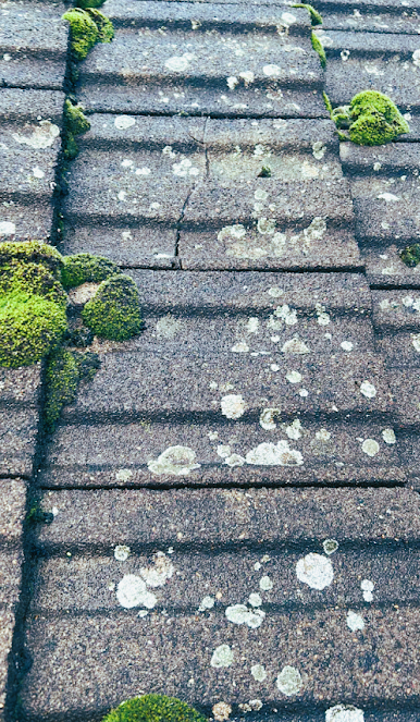 About roof maintenance Orlando