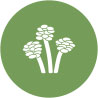 Gallery image 1 — non-toxic carpet cleaning near me
