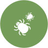Gallery image 3 — non-toxic carpet cleaning near me