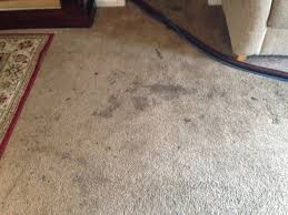 Gallery image 7 — upholstery cleaning Fort Worth