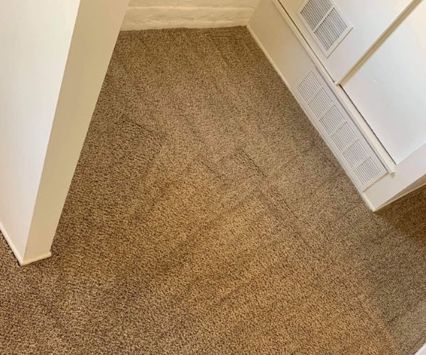 Gallery image 6 — hardwood floor cleaning Dallas