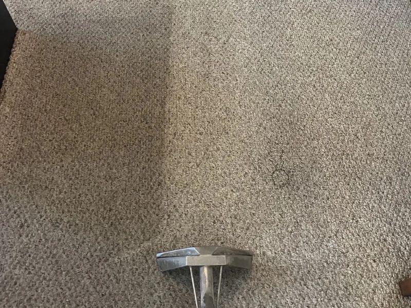 Gallery image 8 — hardwood floor cleaning Dallas