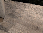 carpet cleaning Dallas
