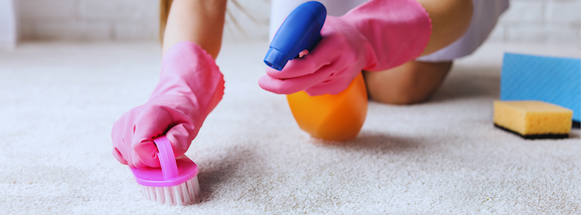 carpet cleaning service Dallas
