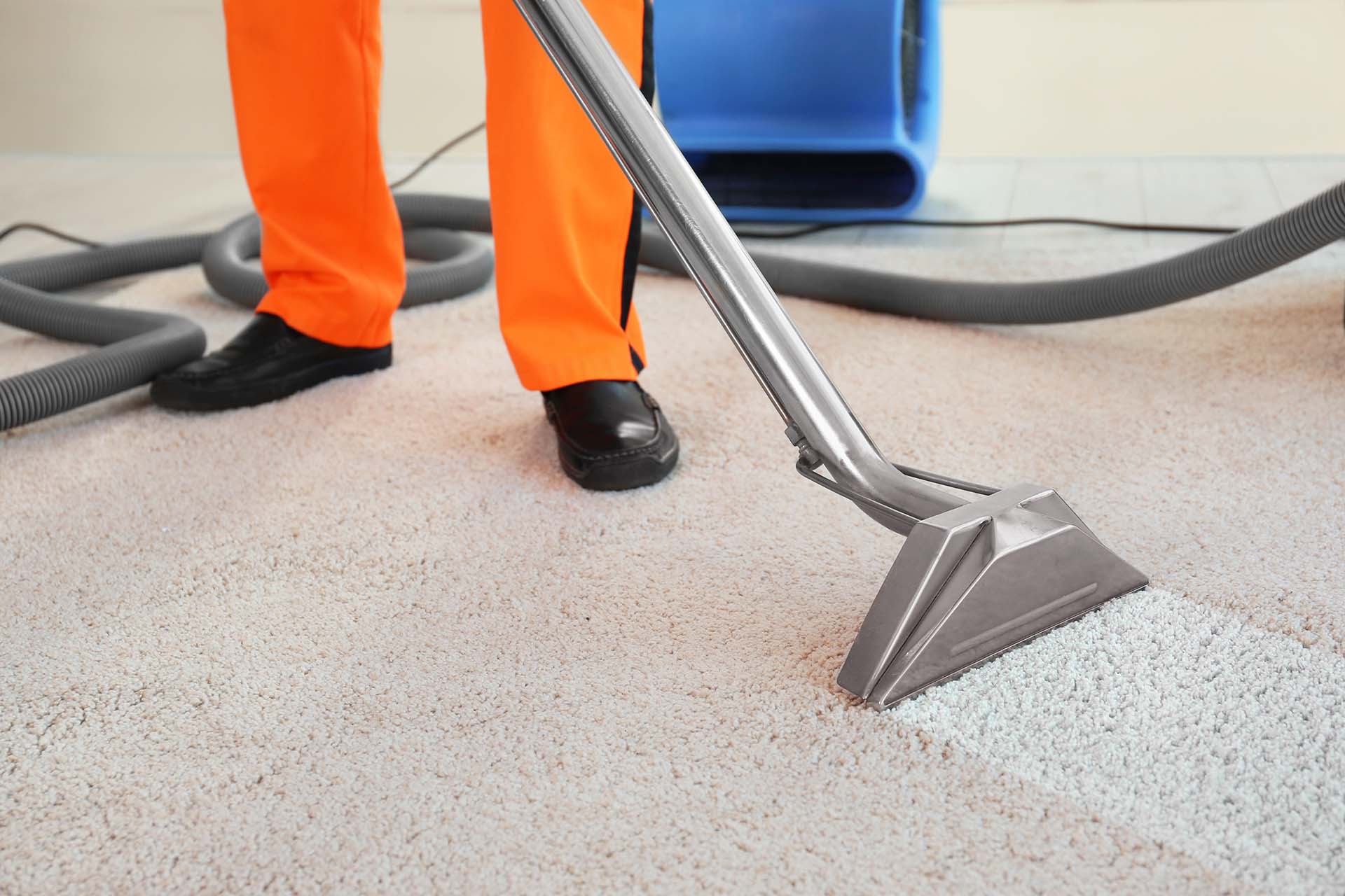 Gallery image 1 — wood floor cleaning Arlington