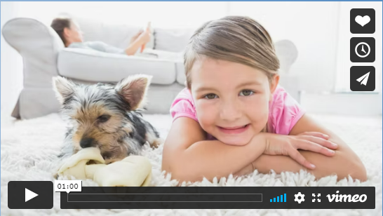 mattress cleaning Arlington photo