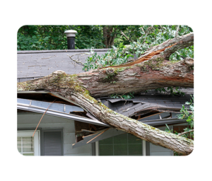 Gallery image 2 — residential roofing contractor near me