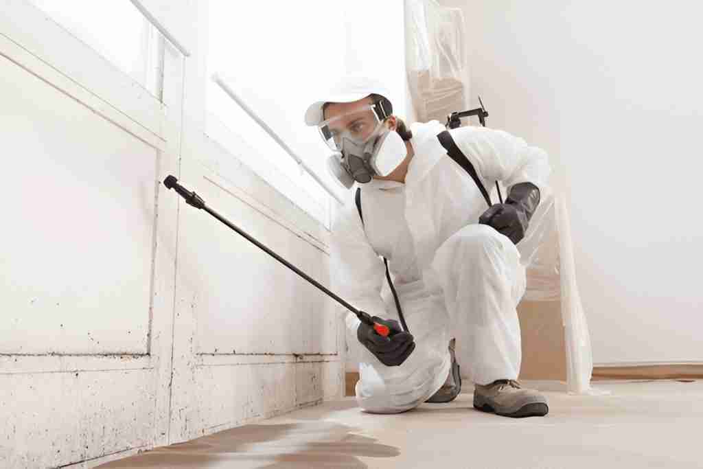 Gallery image 7 — carpet cleaning Dallas
