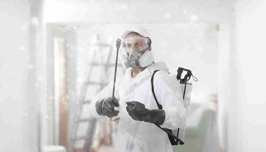 carpet cleaning Dallas