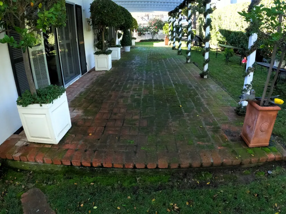 exterior cleaning San Jose