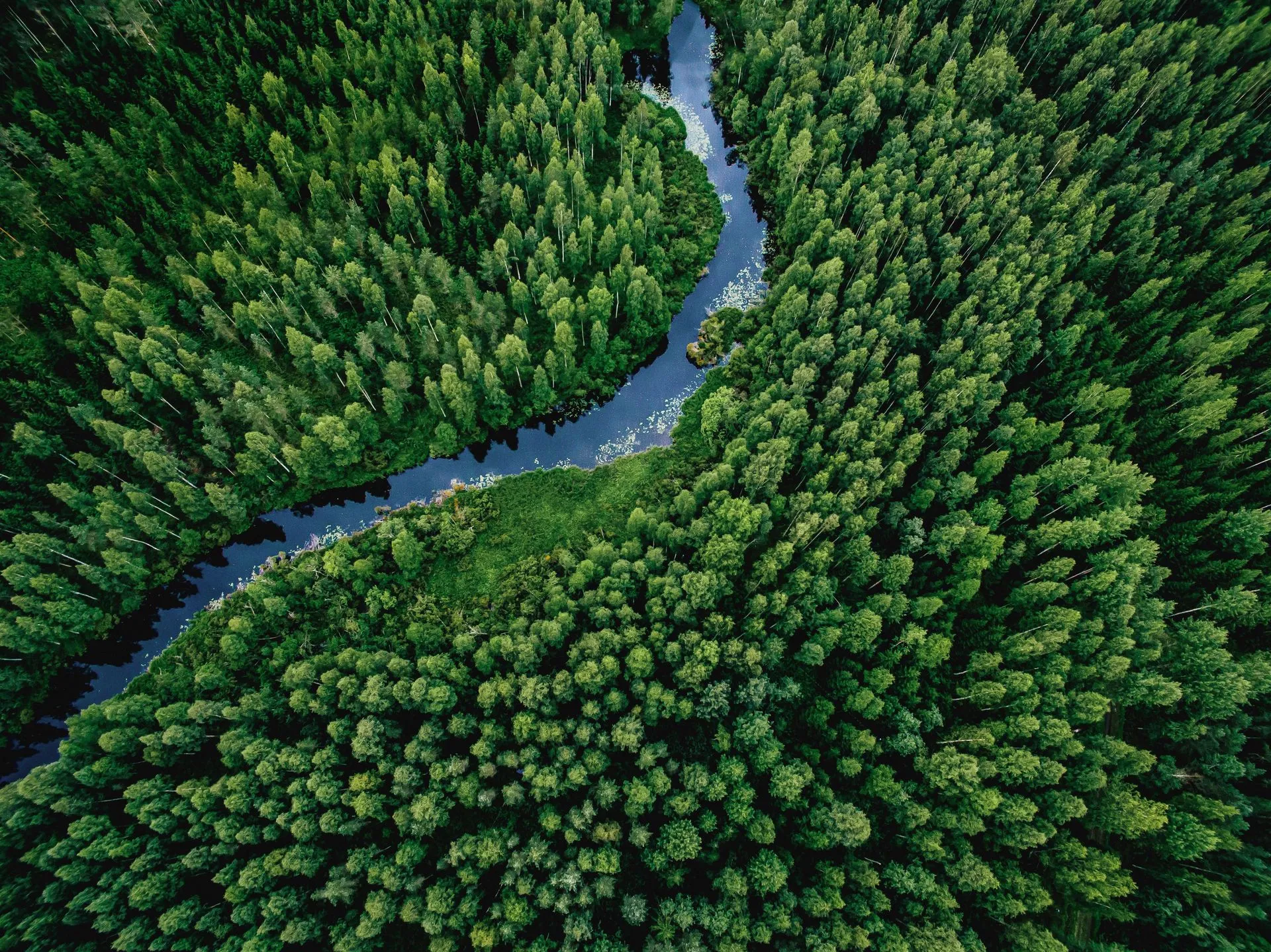 Gallery image 2 — Belgium curbing installation Hudson Valley