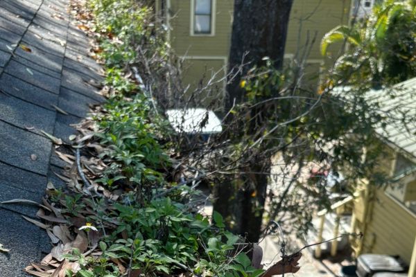 Gallery image 3 — house washing near me Winter Park